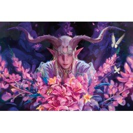 Magic: The Gathering Lorwyn Eclipsed Play Booster Box – 15 Cards per Pack, 30 Packs per Box – MTG Draft & Collectible Booster Packs – Fantasy Trading Card Game (PRE-SALE JANUARY)